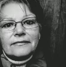 Abandoned kittens need urgent care and adoption