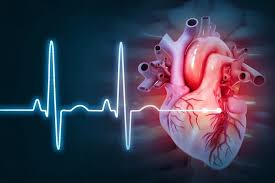 Image result for Heart Rate