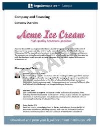The Clumsys 2 Leffet Papillon Business Plan Template Business Plan Template Free Free Business Plan
