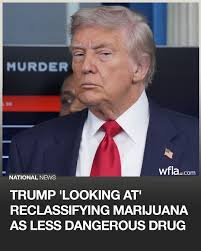 Trump said his administration is...