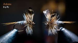 Average customer rating (5 flies is best): Adams Dry Fly Most Popular Dry Fly Ever Created Mcfly Angler Fly Tying Tutorials Youtube Fly Fishing Flies Trout Fly Fishing Lures Fly Tying
