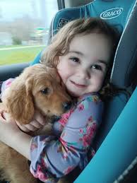 Happy 13 th birthday to our best girl , willow ❤😘