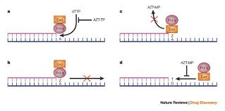 Image result for Nucleoside Reverse Transcriptase Inhibitor