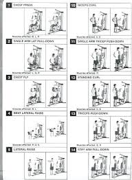 Weider Exercise Chart Printable Best Picture Of Chart