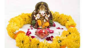 Bildergebnis für மலர்கள்