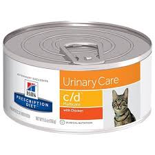 A cat's sense of smell defines life for your cat. The 8 Best Cat Foods For Urinary Tract Health In 2021
