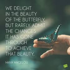 We delight in the beauty of the butterfly, but rarely admit the changes it has gone through to achieve that beauty. 101 Maya Angelou Quotes To Make You Feel Warm Inside