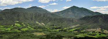 Obituary of Kenneth Mays Abbott