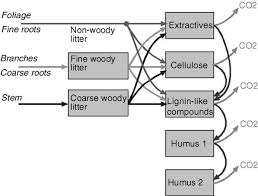 flow chart of the yasso model the boxes represent soil