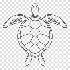 Green Sea Turtle Reptile Drawing Tortoide Transparent Background Png Clipart Hiclipart Here, the first layer is black and has bold letters, the second one is white and uses a normal font. green sea turtle reptile drawing