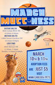 Clark's pet emporium supports several organizations in their efforts to find adoptive homes for needy cats and dogs in albuquerque. Score A New Pet At March Mutt Ness Albuquerque Journal