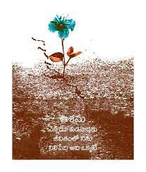 Pin By Vasu Chittoor On Telugu Vasu Chittoor Poster Chittoor Flowers