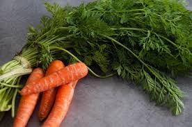 Comment Utiliser Les Fanes Recette Fanes De Radis Carotte Fane Epluchures