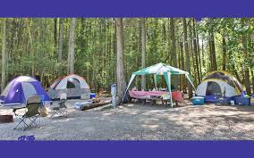 Compiled of more than 21,000 acres of lush south jersey woodlands, belleplain state park offers several options for campers. Wading Pines Camping Resort In Campground In New Jersey