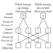 Laman ini akan membawa kita menerokai asal usul dan bagaimana kita tercipta menerusi teori sains. Http Www Andrewchoo Edu My Wp Content Uploads 2015 09 Modul Cemerlang Sains Ting 4 Pdf