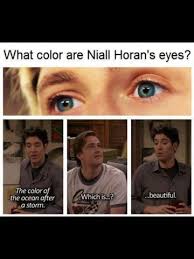 Nialler S Eyes Via Facebook In 2020 One Direction Humor I Love One Direction How I Met Your Mother