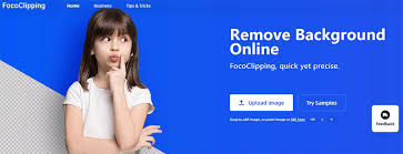 Removes the background from the image at the url specified. How To Remove Background From Image By Fococlipping Techlogitic