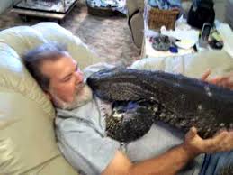 Check spelling or type a new query. Watching T V With My Giant Black Throat Monitor Bigboy3293 Youtube
