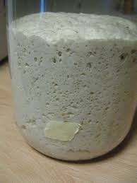 We did not find results for: Pasta Madre O Lievito Naturale Con Metodo Bonci