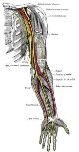 Directed by henry joost, ariel schulman. Nerve Wikipedia