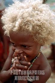 The mutation, which has no obvious advantages, likely arose by chance in one individual and drifted to a high frequency in the solomon islands because the original population was small. People With Dark Skin And Naturally Blonde Hair Oceania Solomon Islands Black And Blonde Melanesian People Natural Blondes
