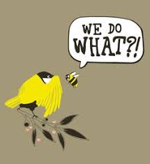 Birds Do It Bees Do It Movie Free Lesson Number One Birds Do It Bees Do It Cinema Paradiso Cinema Ridere