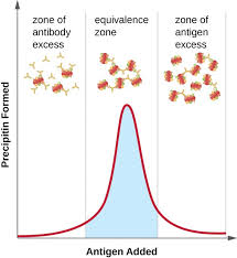 Detecting Antigen Antibody Complexes Microbiology