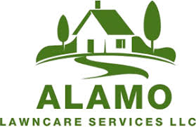 2m x 11m) using a device that removes plugs of soil from the dirt under the grass and deposits them on top of the grass. Alamo Lawncare Services In Brevard County Melbourne Palm Bay Fl Lawn Mowing Mulch Trimming