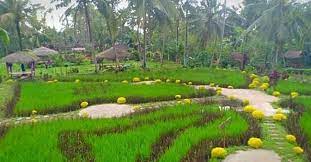 Pesona Jember - Wisata Argopuro Garden - Photo By: FB... | Facebook