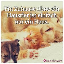 Spruche Fur Tierliebhaber Spruche Tiere Tiere Spruche Tierliebe