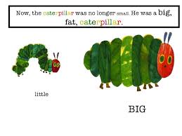 She built a small house around herself called a cocoon. The Very Hungry Caterpillar