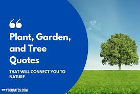 Katrina mayer click to tweet. Plant Gardening And Tree Quotes That Will Inspire You