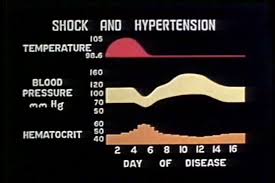 circa 1950s chart showing stock footage video 100 royalty free 13182023 shutterstock