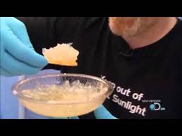 Double dip (confectionery), flavored powders with an edible stick to dip into them. Mythbusters Double Dipping Youtube