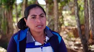 @anagarciacarias's video Tweet