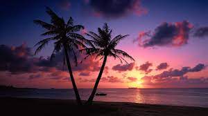 Sahibdm presents to you the official ocean sunset beach wallpaper for my audience. 4k Beach Wallpapers Hd Backgrounds Great Love Art