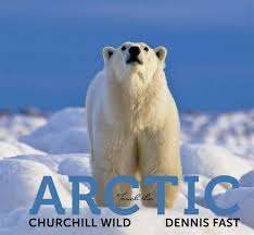 Come by and see us! Touch The Arctic Churchill Wild New Coffee Table Book By Dennis Fast Churchill Wild Polar Bear Tours