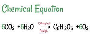 Photosynthesis Youtube