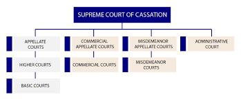 organizational structure of the courts supreme court of