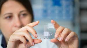 Enroll with akc reunite today. Microchipping Employees A Rising Trend In The Future Of Work