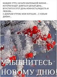 открытки с пожеланиями с добрым зимним утром скачать бесплатно Pin By Lyolya Galustyan On Zimnie Pozhelaniya Novogodnie Good Morning