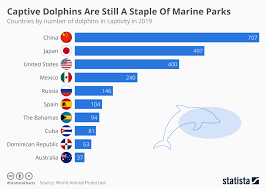 Chart Captive Dolphins Are Still A Staple Of Marine Parks