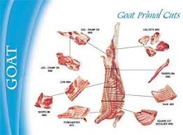 Goat Chart Australia Goat Meat Goats Goat Recipes