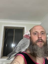 Just chilling, no that's nonsense he is running a muck every second of the  day!! We are renovating the kitchen atm and he is stealing all the screws  and dropping them all