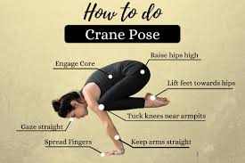Dreamstime is the world`s largest stock photography community. Crane Pose Bakasana How To Do Benefits And Precautions Fitsri