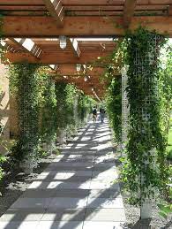 Greenscreen Column Wraps Vertical Garden Landscape Design Contemporary Landscape Design
