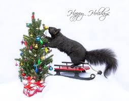 Jc1xhe R9z7a5m Téléchargez un fond d'écran illustré pour célébrer noël. https www 1zoom me fr wallpaper 598290 z2548 9