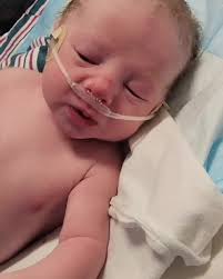 Stephen Harr NOT an Actor (@stephenharr_not_an_actor)