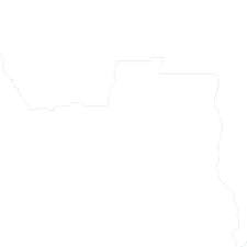 Image result for Acanthus mayaccanus