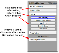 Navigate A Patients Chart Pcc Learn